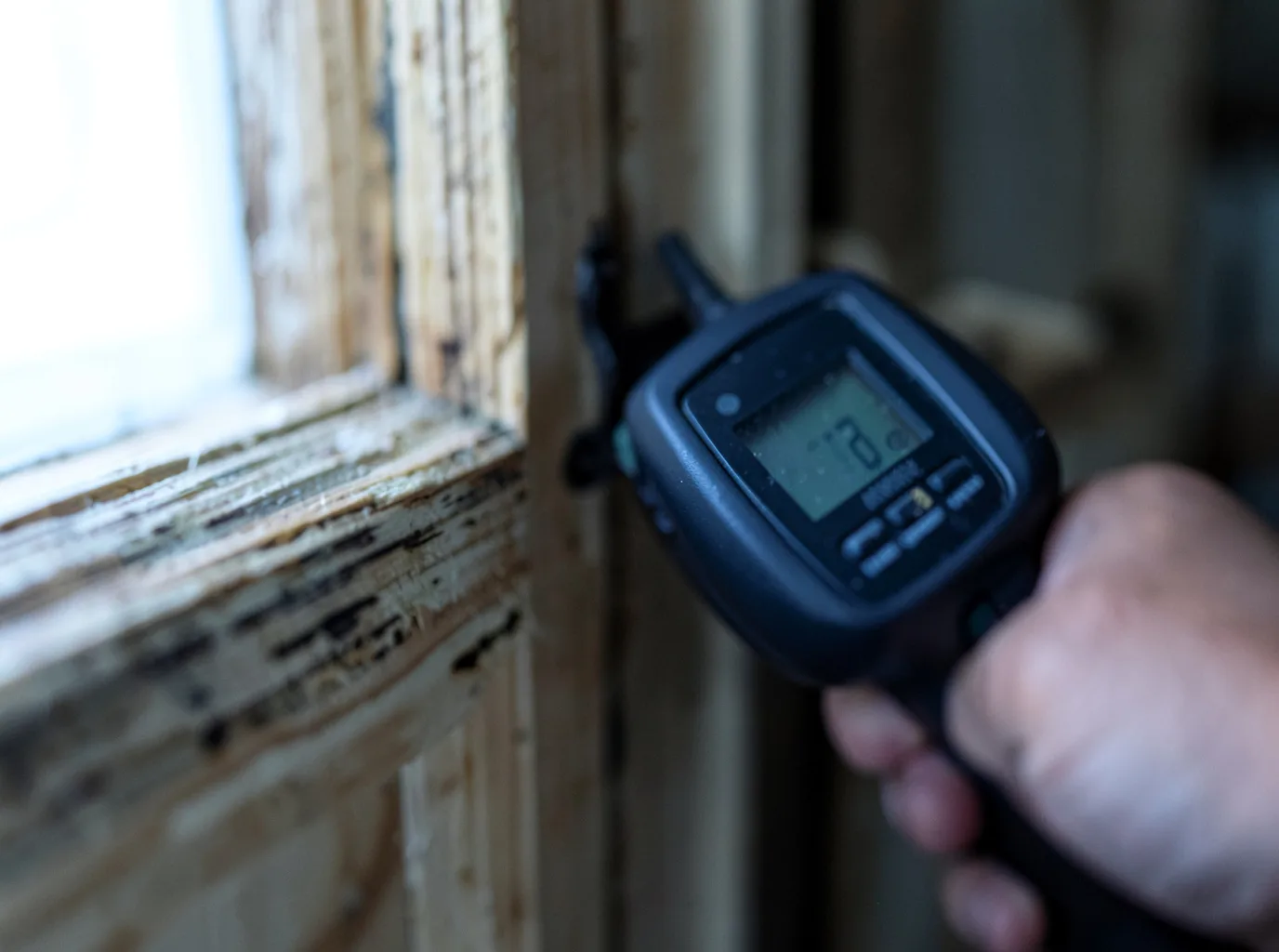 Moisture Inspection And Documentation in Collinsville, TX